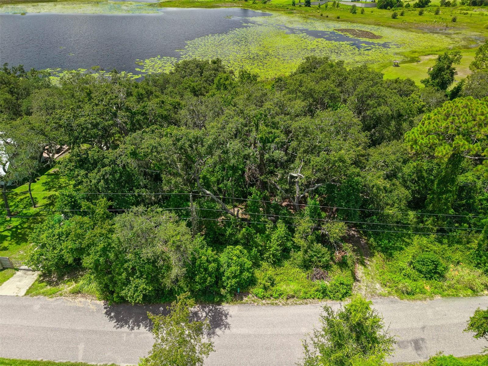 Image 38 of 44 For 17226 Lake Ingram Road