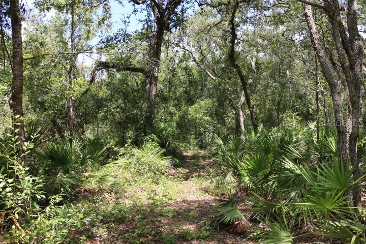 Image 11 of 26 For 129th Boulevard