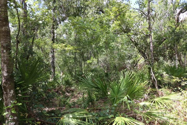 Image 12 of 26 For 129th Boulevard