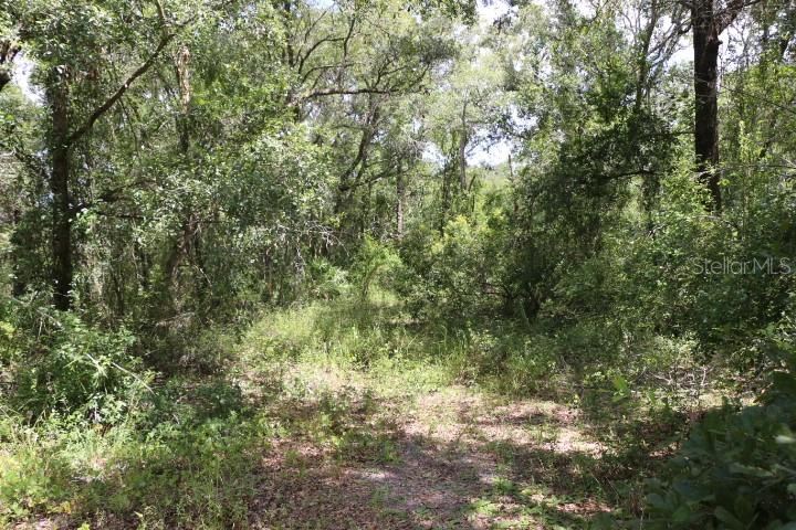 Image 17 of 26 For 129th Boulevard