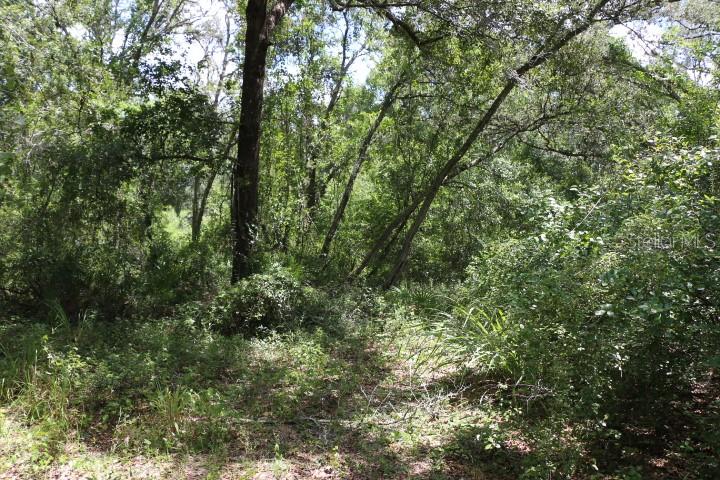 Image 18 of 26 For 129th Boulevard