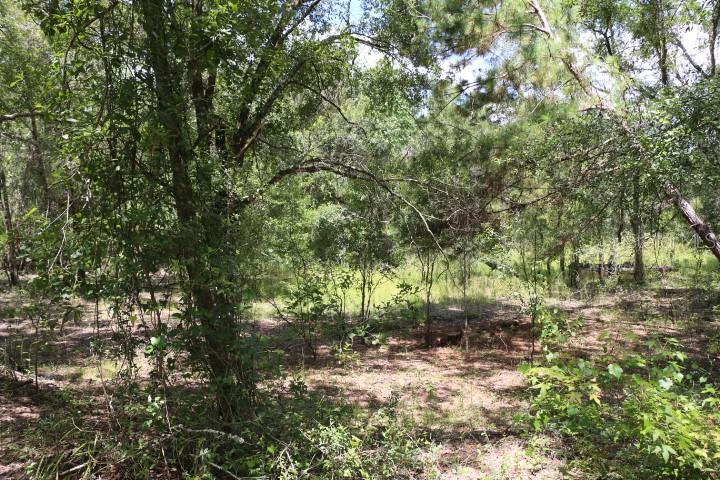 Image 19 of 26 For 129th Boulevard