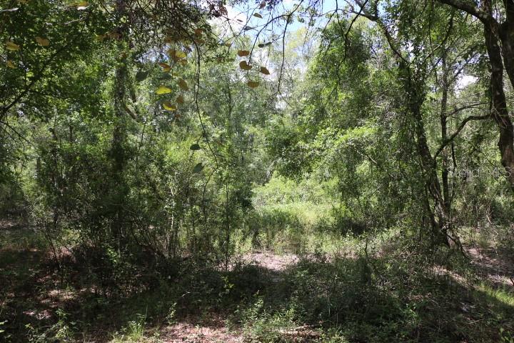Image 20 of 26 For 129th Boulevard