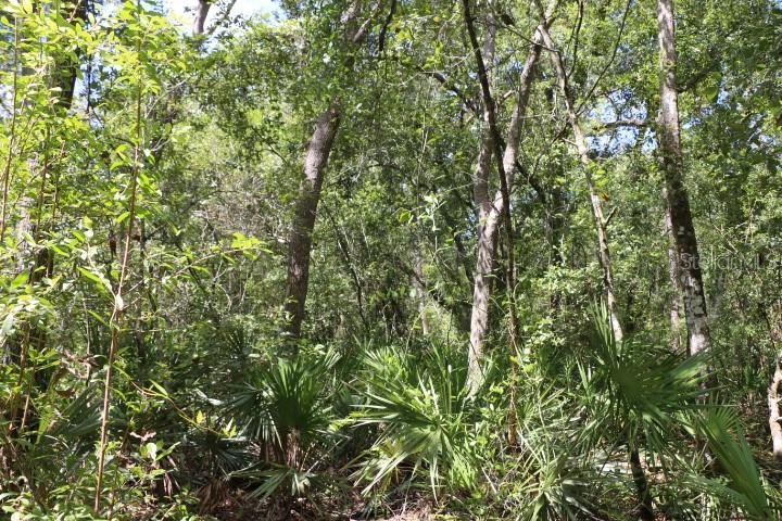 Image 8 of 26 For 129th Boulevard