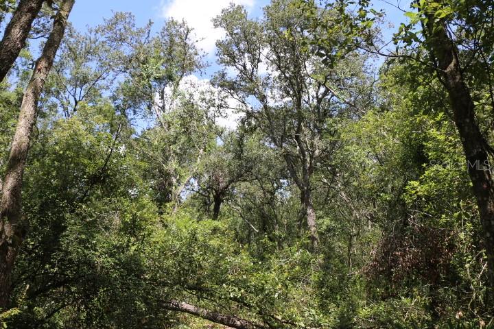 Image 9 of 26 For 129th Boulevard