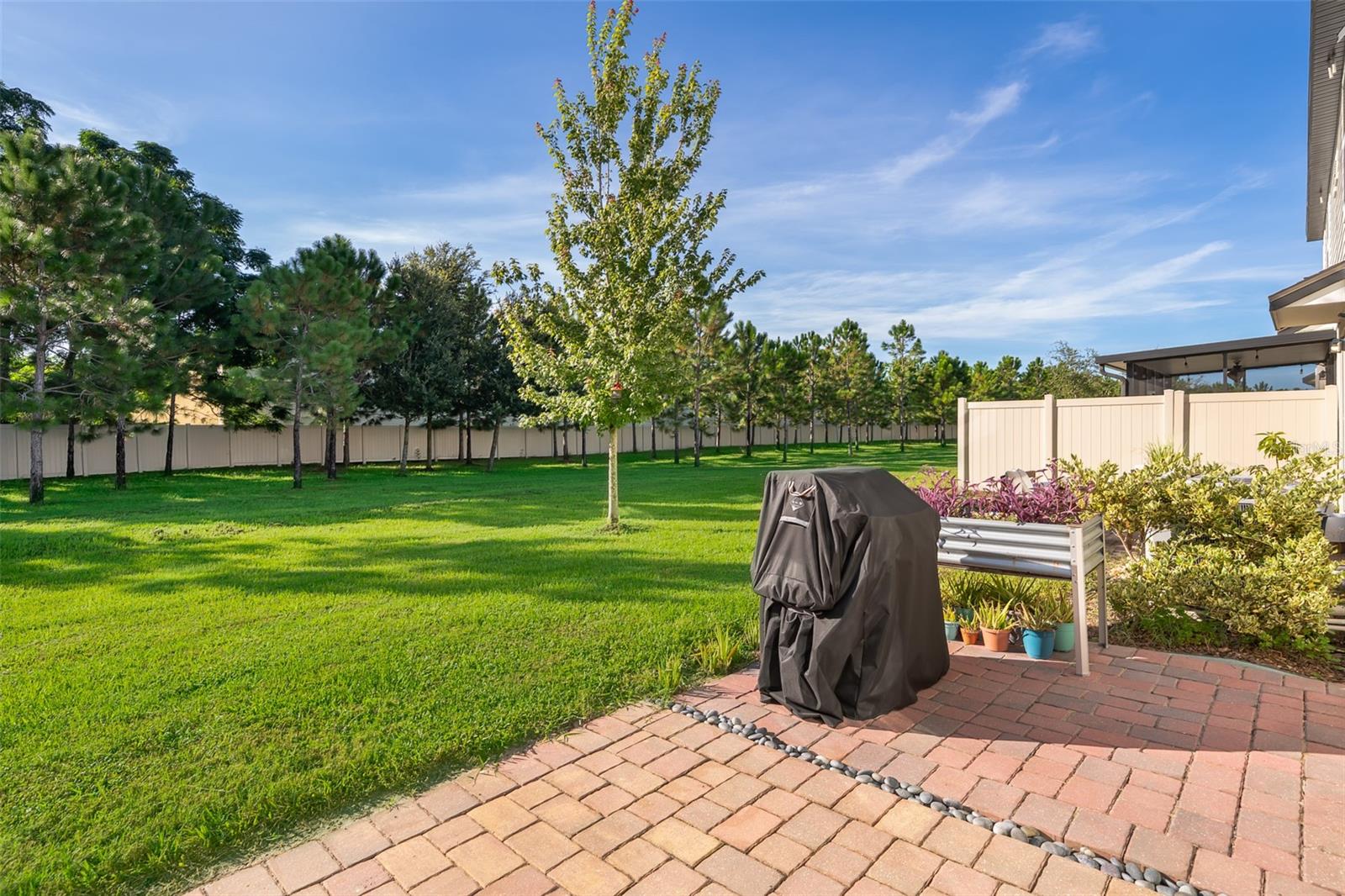 Image 22 of 24 For 2555 Sweet Viburnum Way