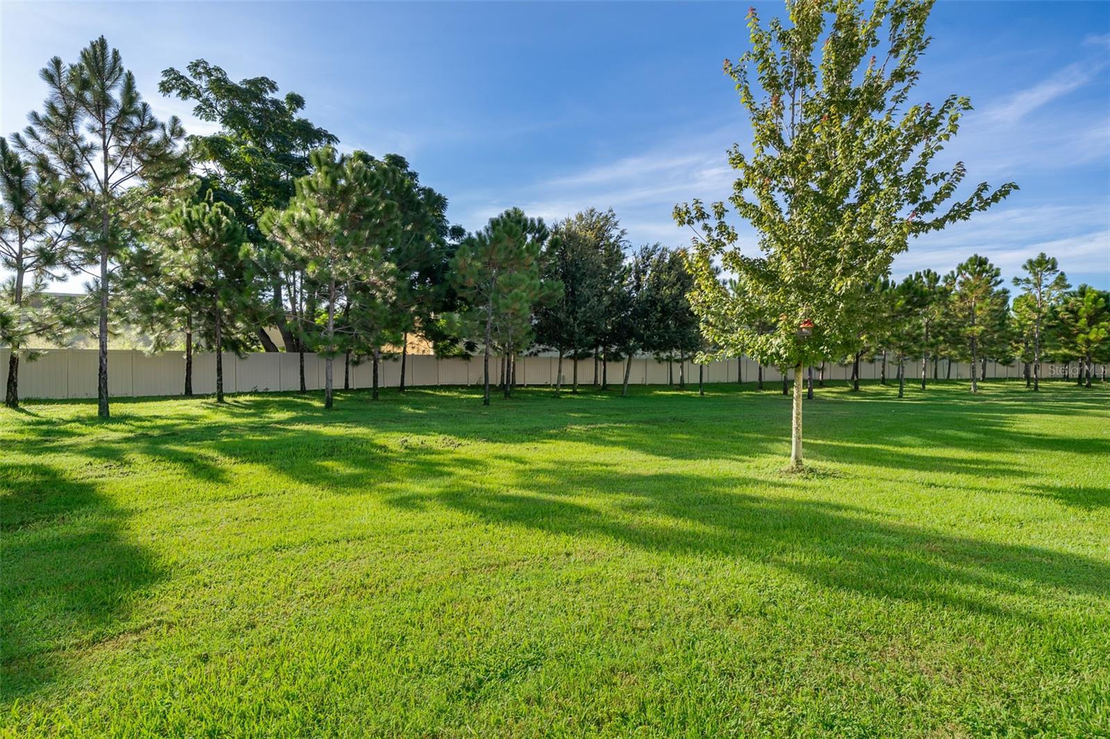 Image 3 of 24 For 2555 Sweet Viburnum Way