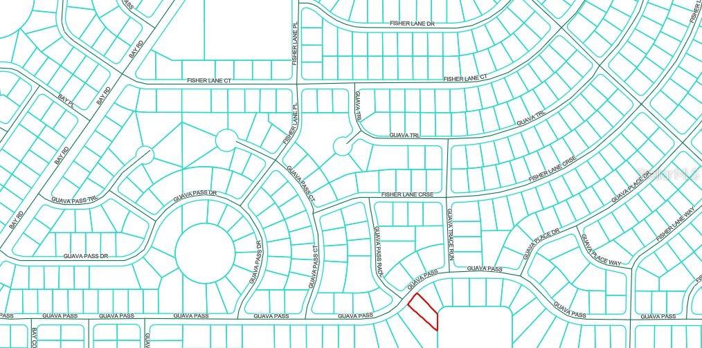 Listing Details for  Guava Pass  , OCKLAWAHA, FL 32179