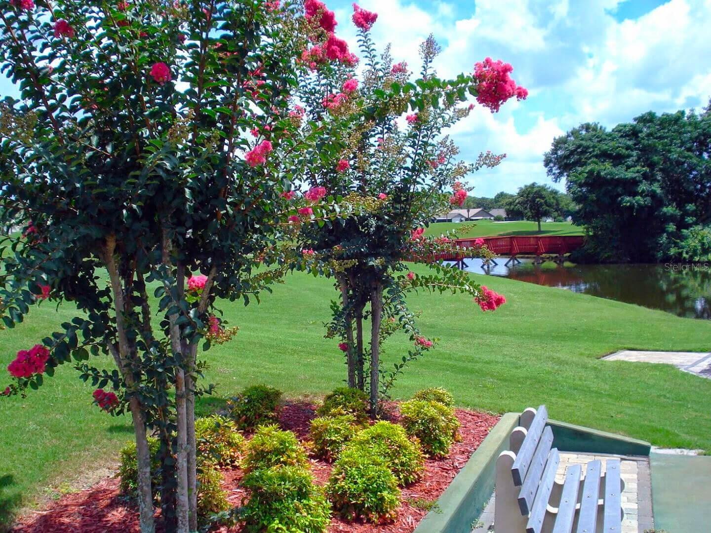 Listing photo id 43 for 3916 Atrium Drive Drive 4