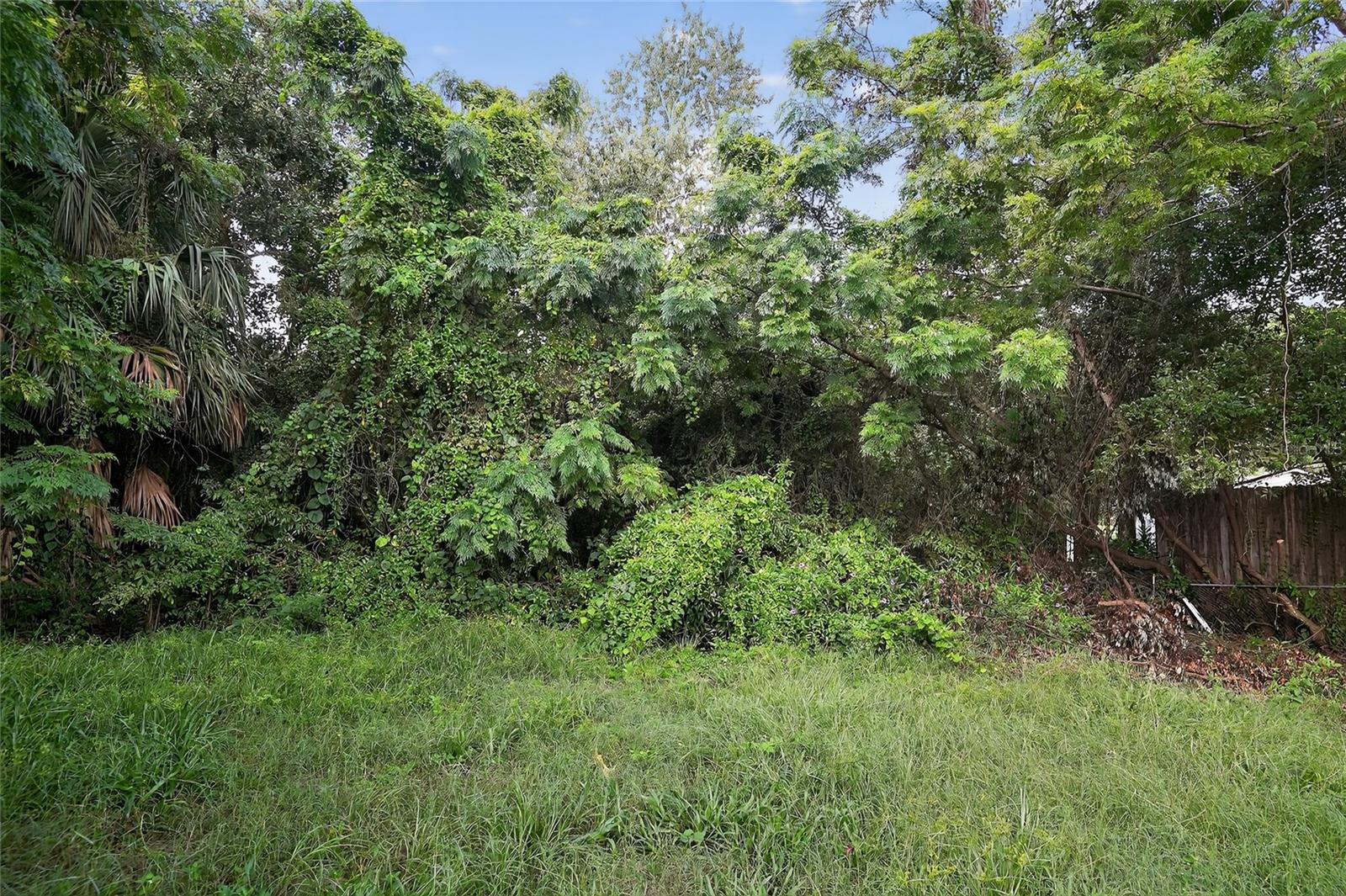 Image 9 of 28 For 251 Buttonwood Avenue