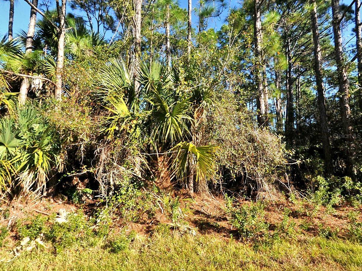 Listing Details for La Rosa Avenue, NORTH PORT, FL 34286