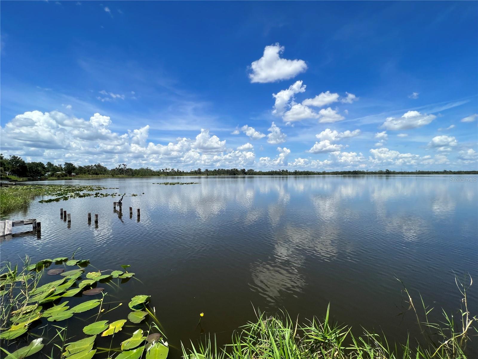 Image 5 of 26 For 4384 Bonnet Lake Drive