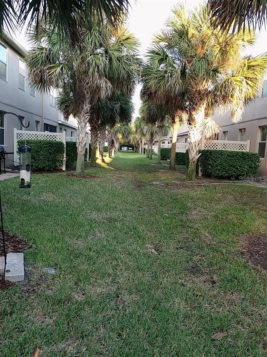 Image 3 of 32 For 890 Caneel Bay Terrace