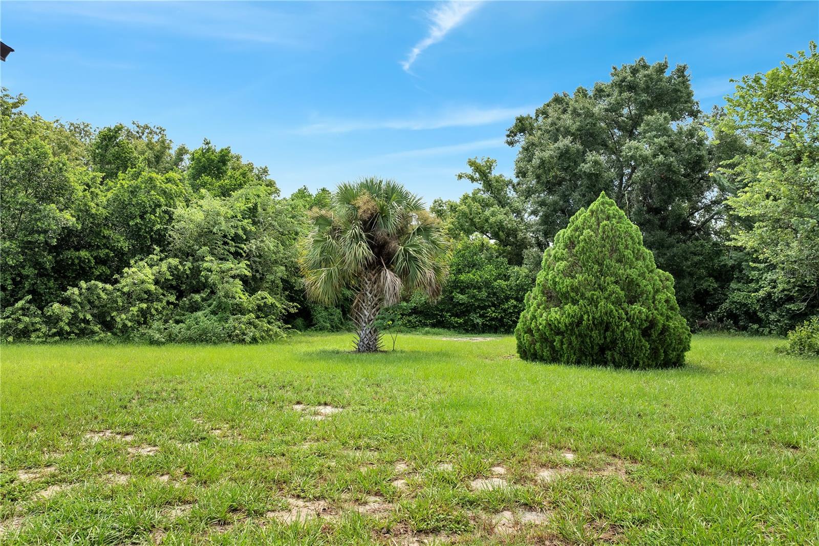 Image 45 of 50 For 1849 Crowley Circle E