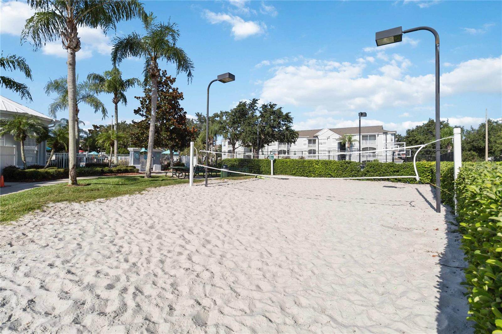 Image 43 of 46 For 8105 Coconut Palm Way 303