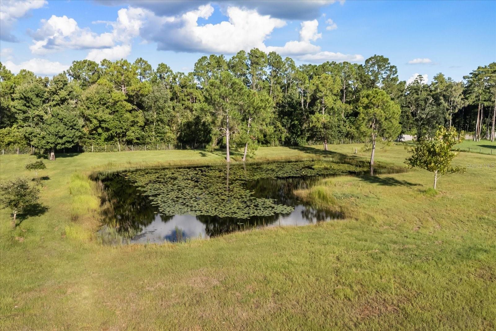 Image 61 of 61 For 4121 Albritton Road
