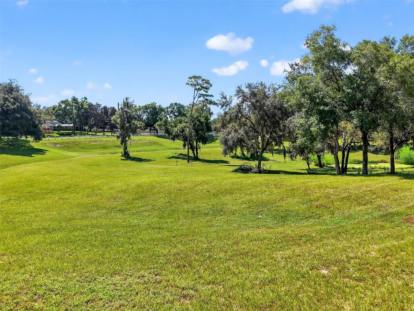 Image 34 of 38 For 2368 Parkside Glen Drive D