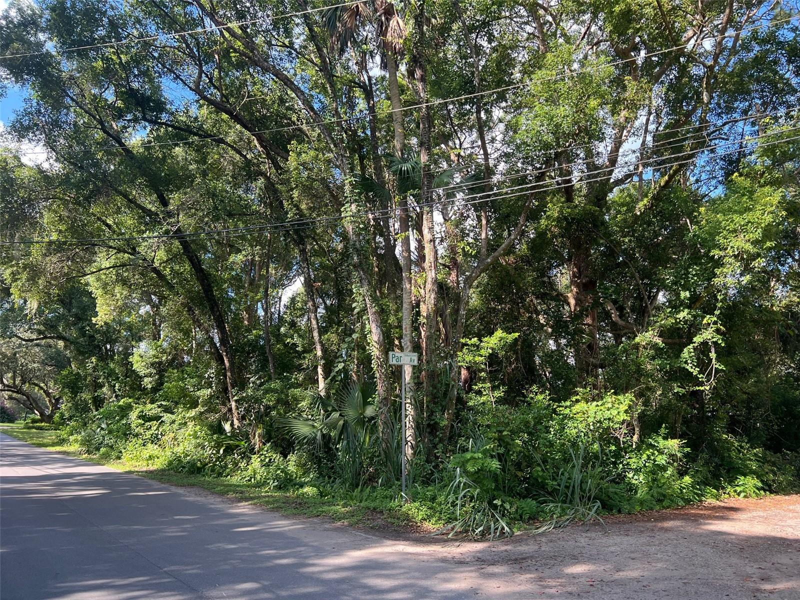 Details for  Par Avenue , SORRENTO, FL 32776
