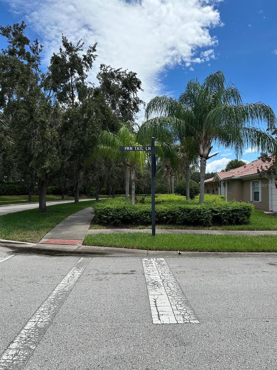 Image 27 of 28 For 12235 Pescara Ln