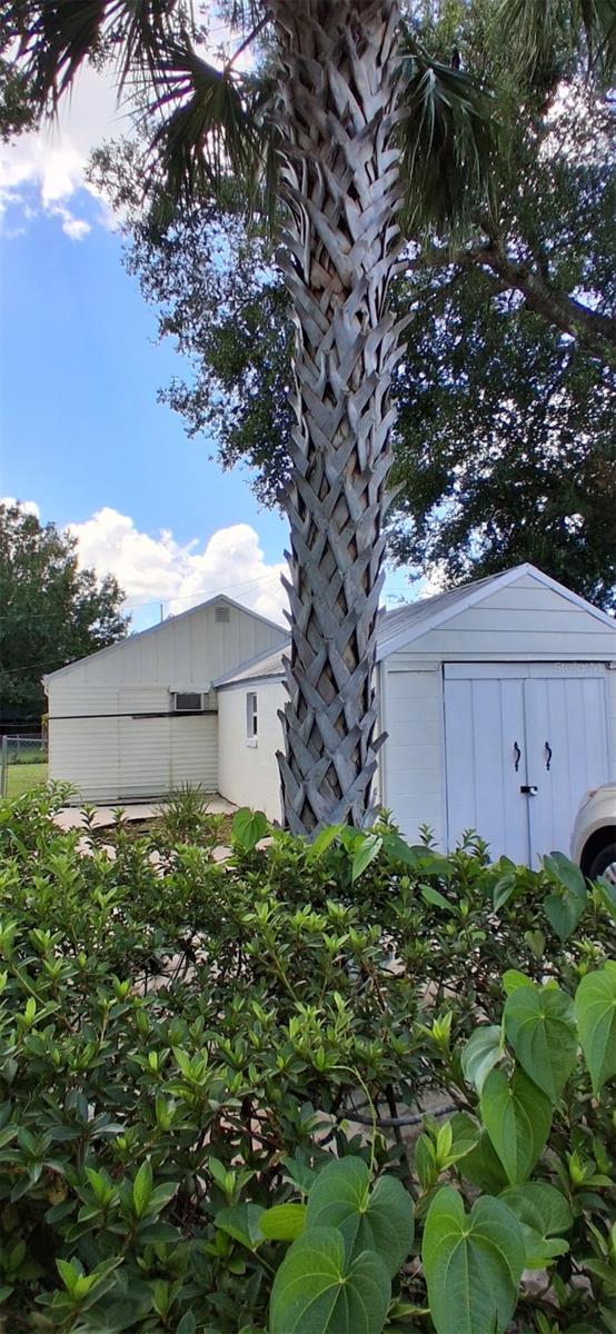 Image 4 of 8 For 1604 Massachusetts Avenue