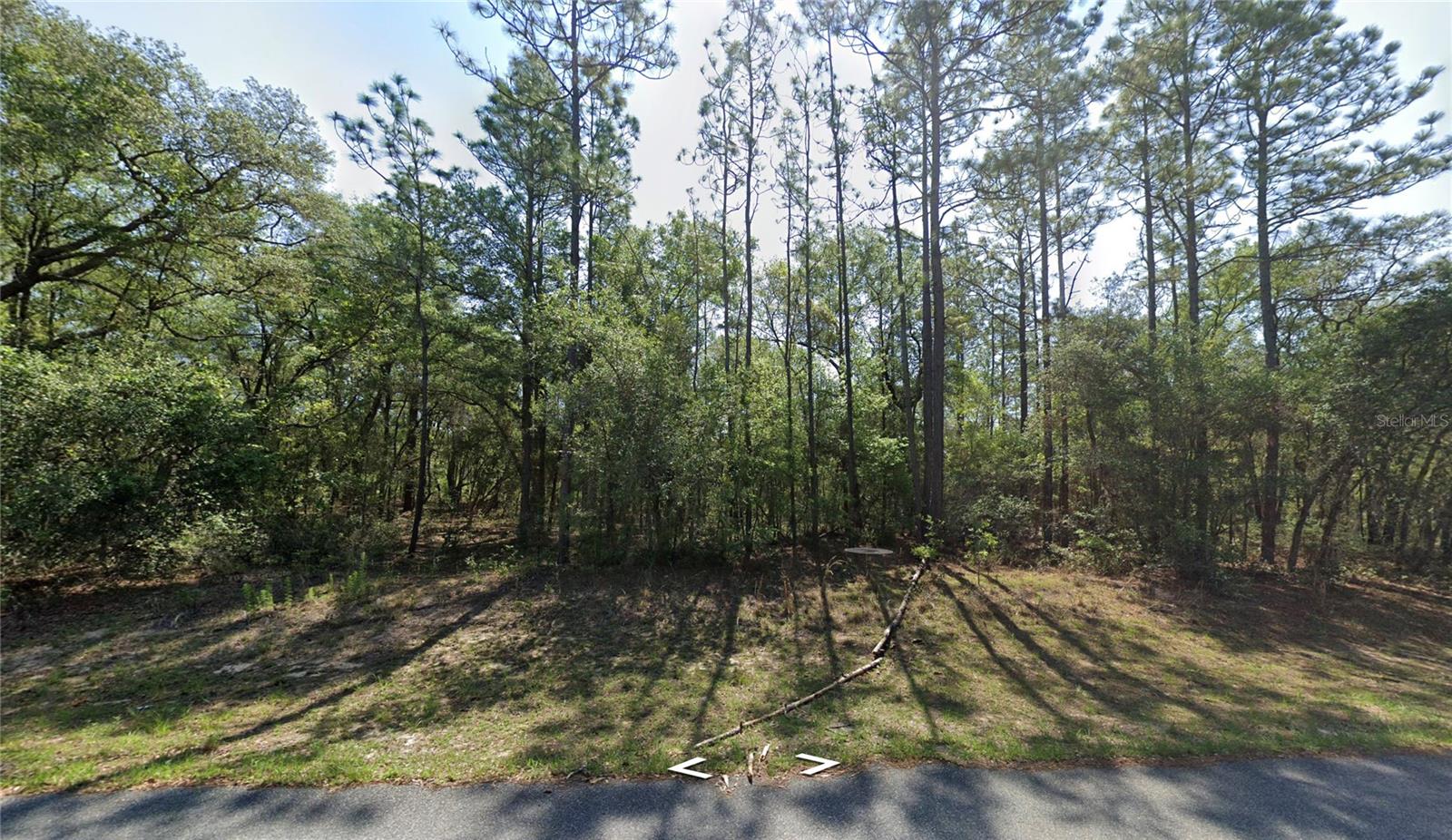 Details for 8123 Yellowbird Avenue, DUNNELLON, FL 34434