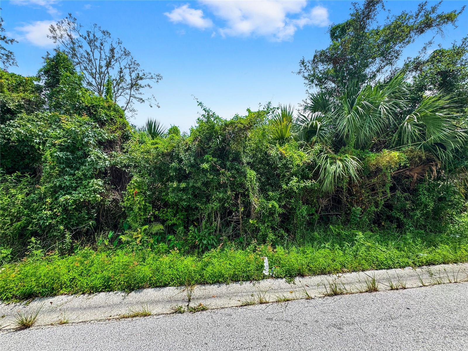 Image 8 of 10 For 2437 Hartwell Avenue
