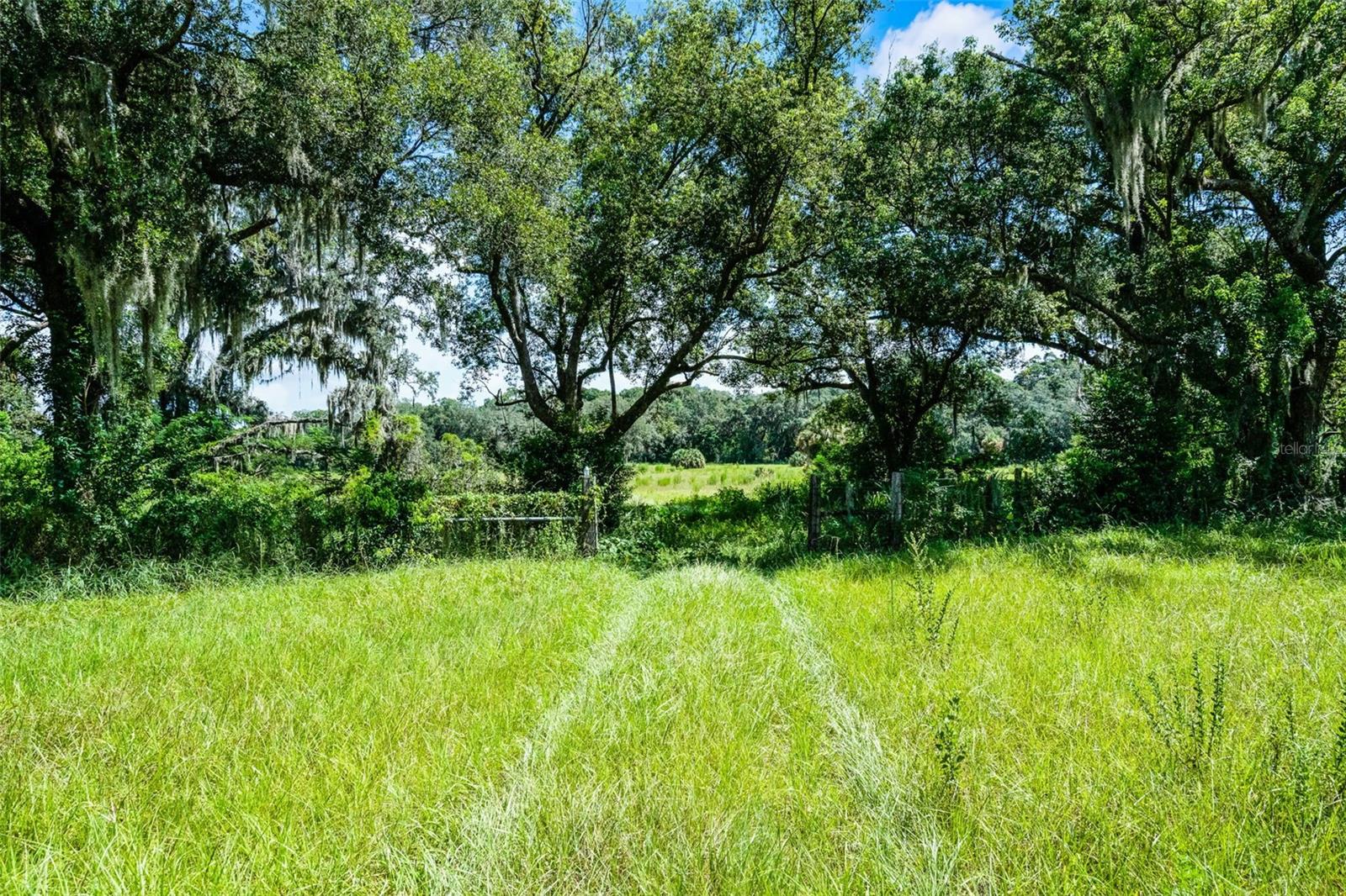 Image 2 of 9 For 7466 Vivian Lane