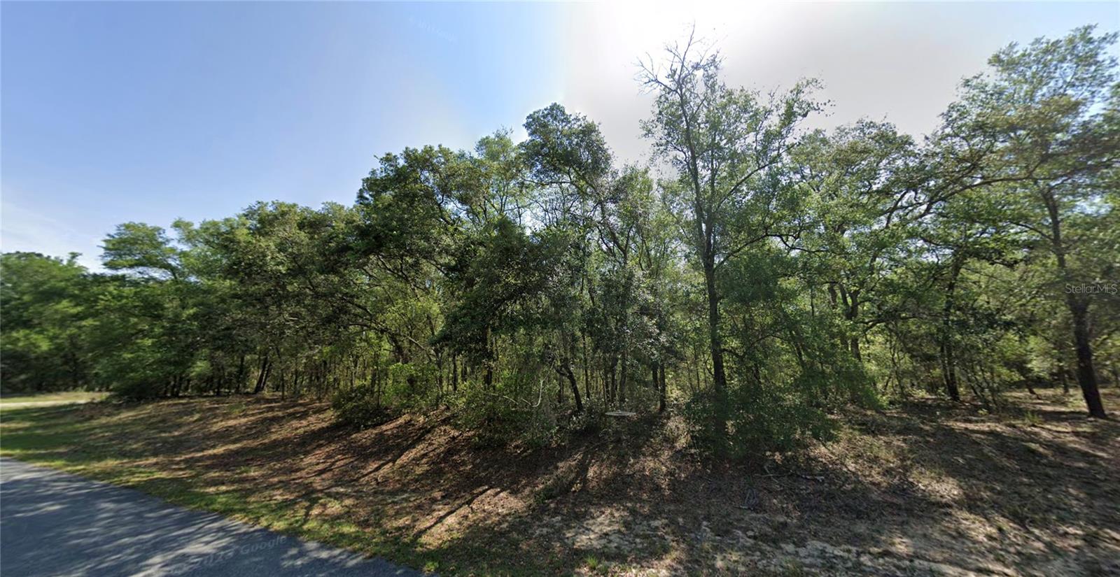 Listing photo id 0 for 8409 Yellowbird Avenue