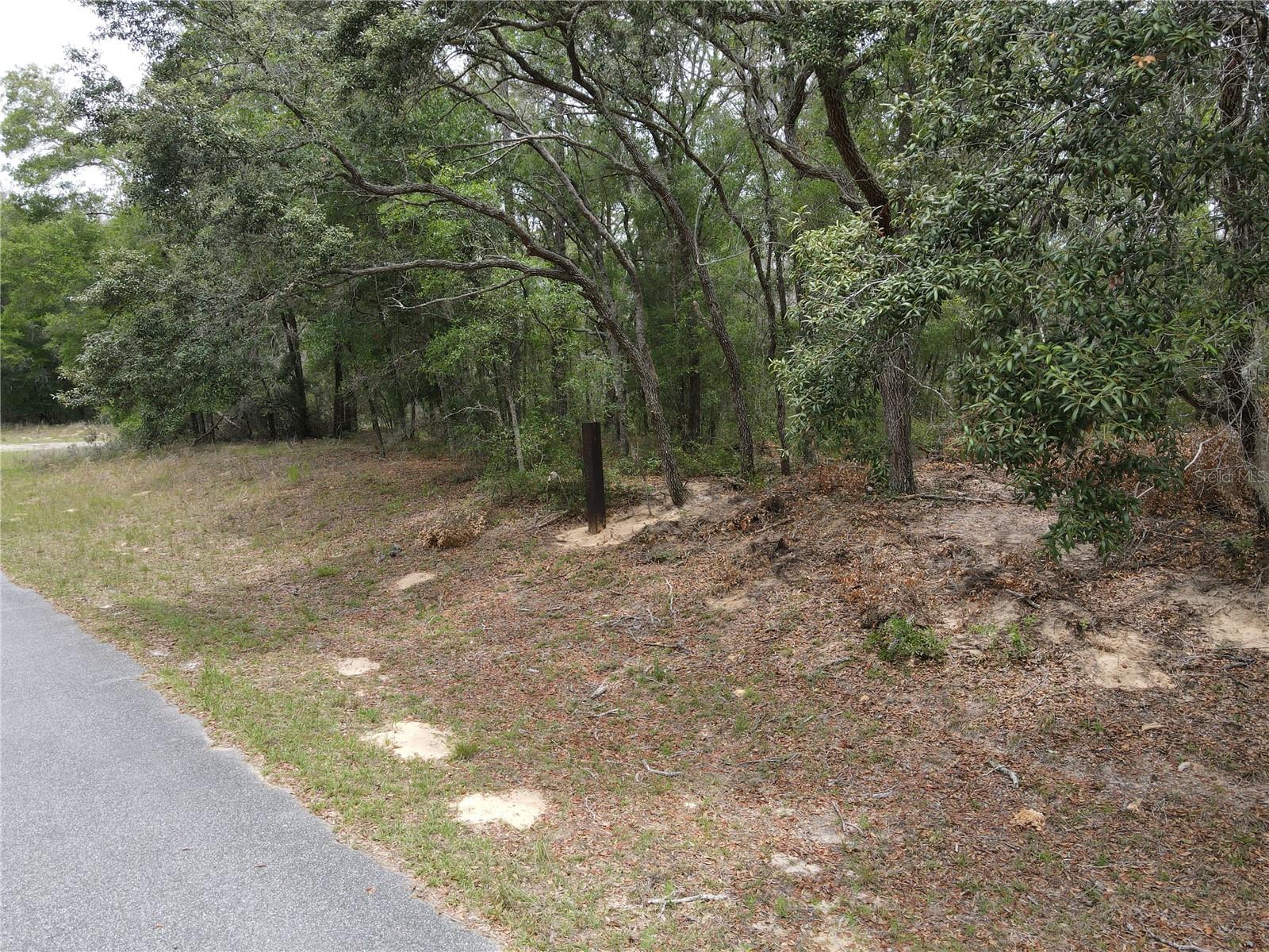 Listing photo id 2 for 8409 Yellowbird Avenue