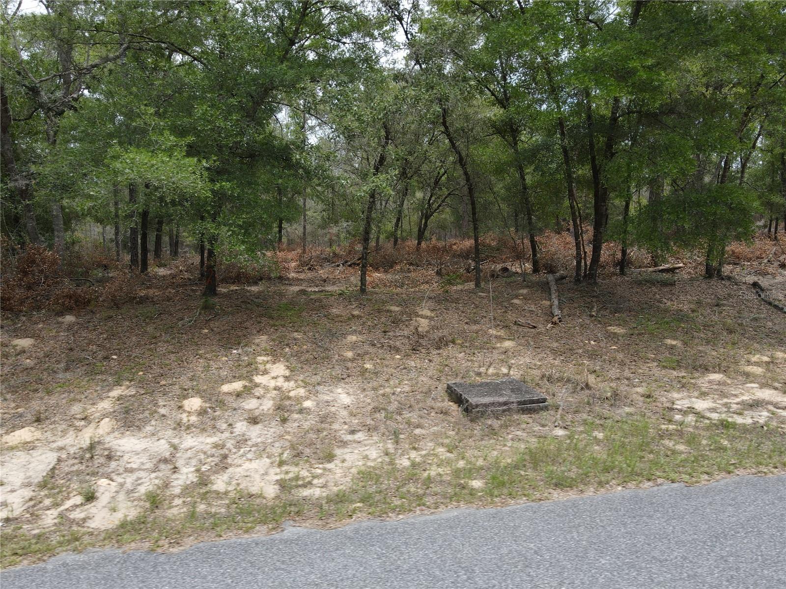 Listing photo id 3 for 8409 Yellowbird Avenue