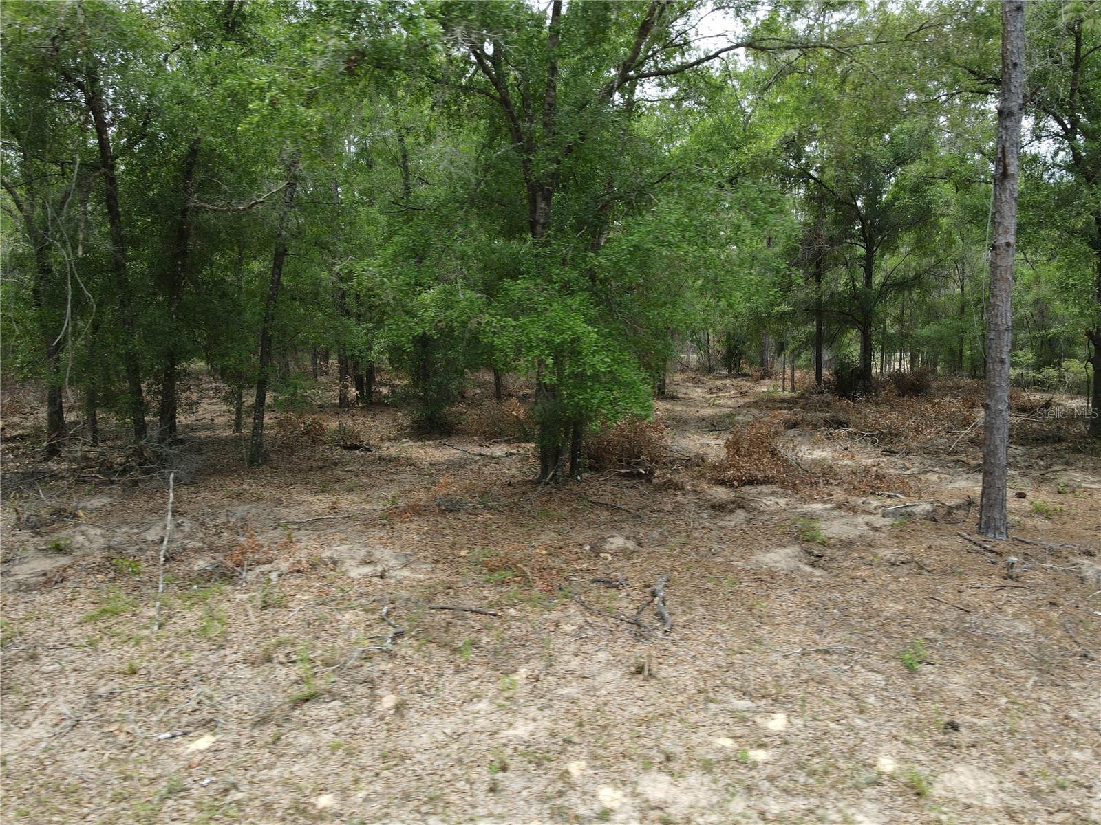 Listing photo id 4 for 8409 Yellowbird Avenue