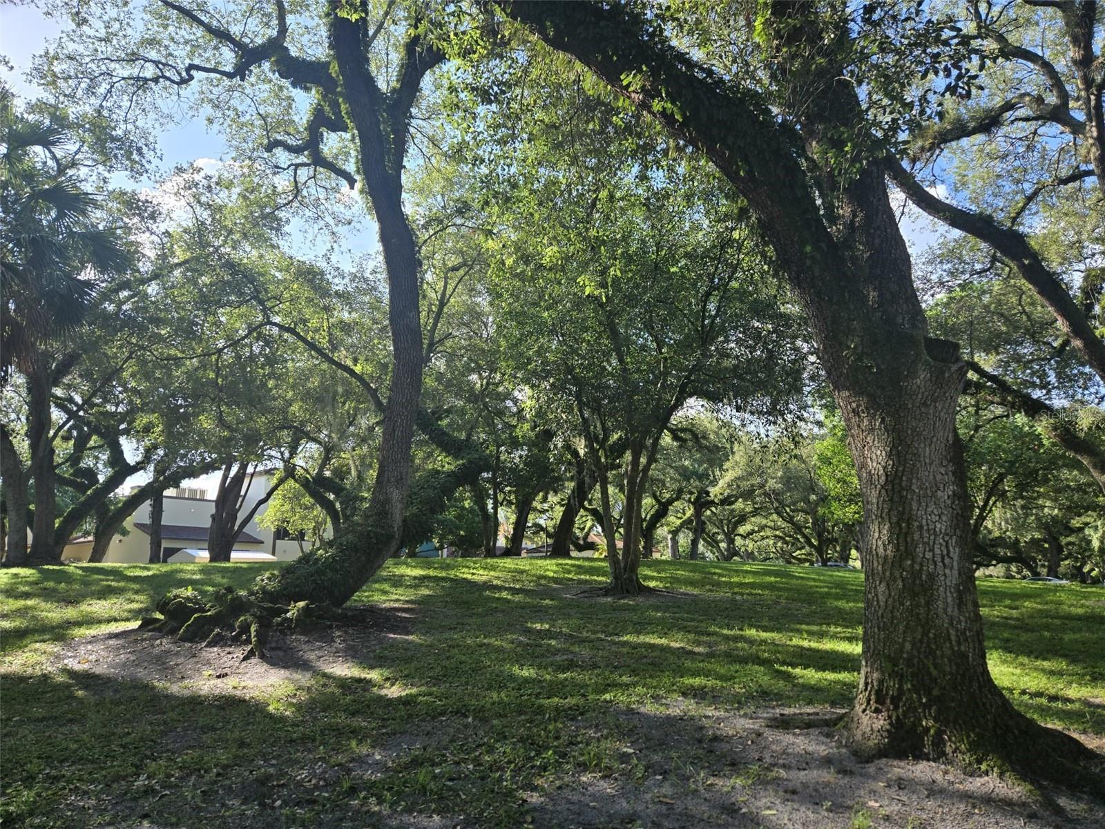 Image 41 of 50 For Address Not Provided