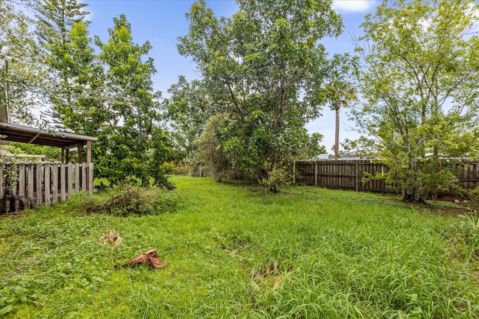 Image 11 of 30 For 203 Larkspur Court