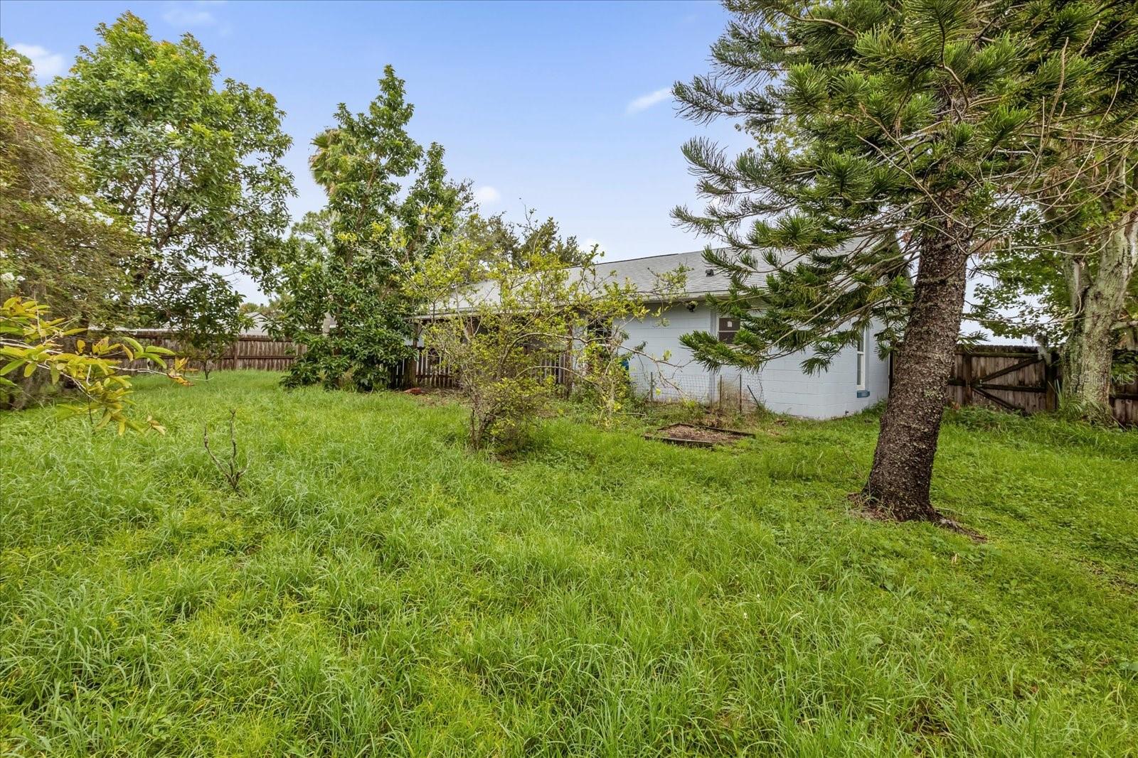 Image 4 of 30 For 203 Larkspur Court