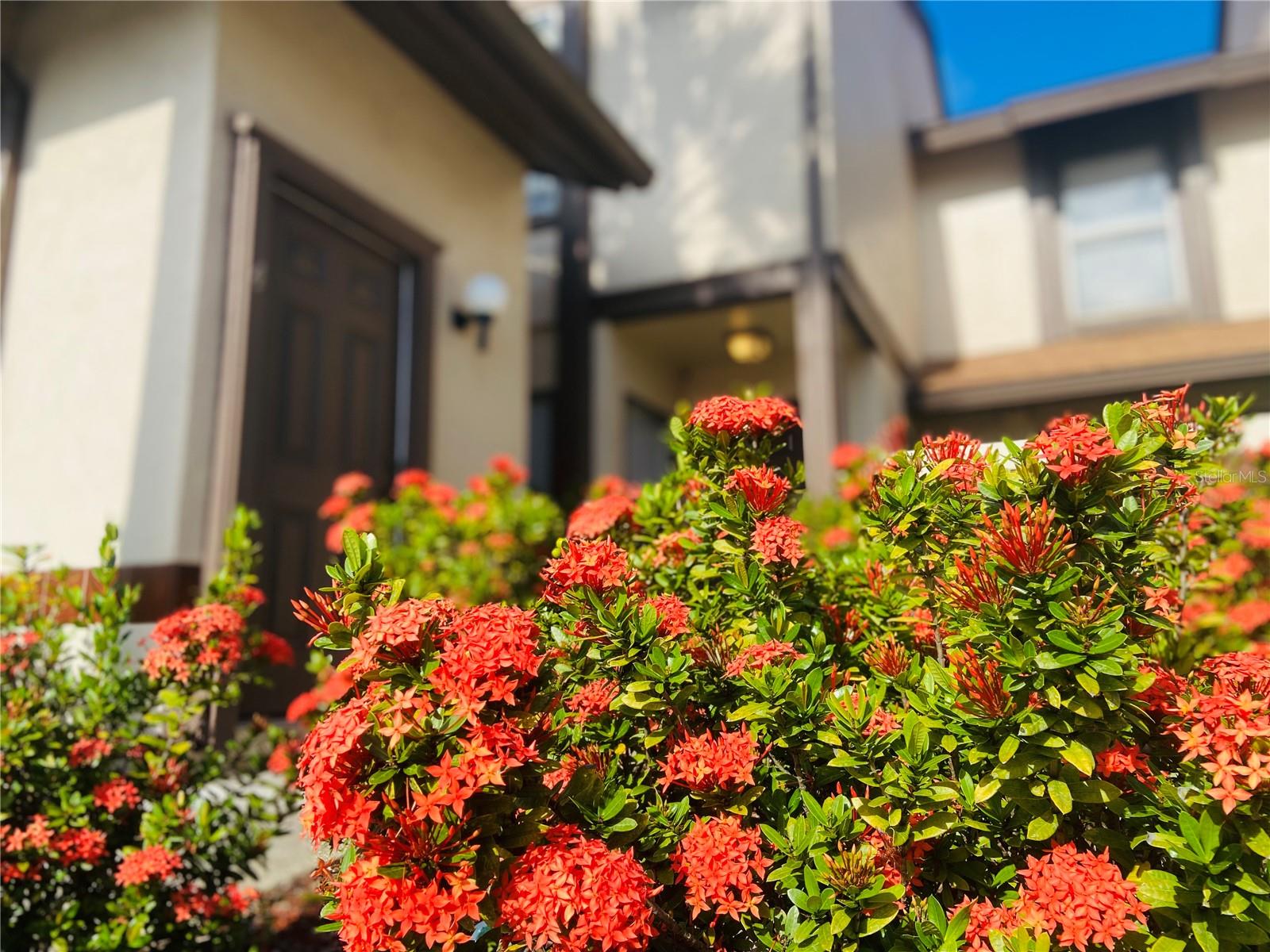 Image 2 of 19 For 2906 Semoran Boulevard A-3