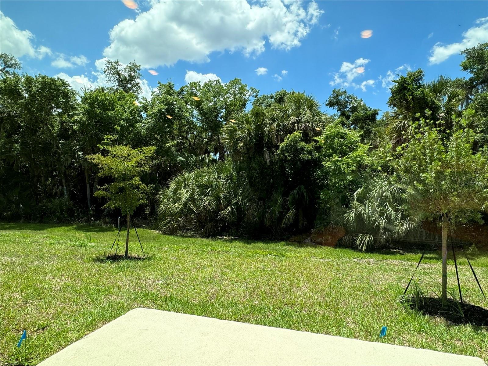 Image 18 of 28 For 8477 Lunar Skye Street
