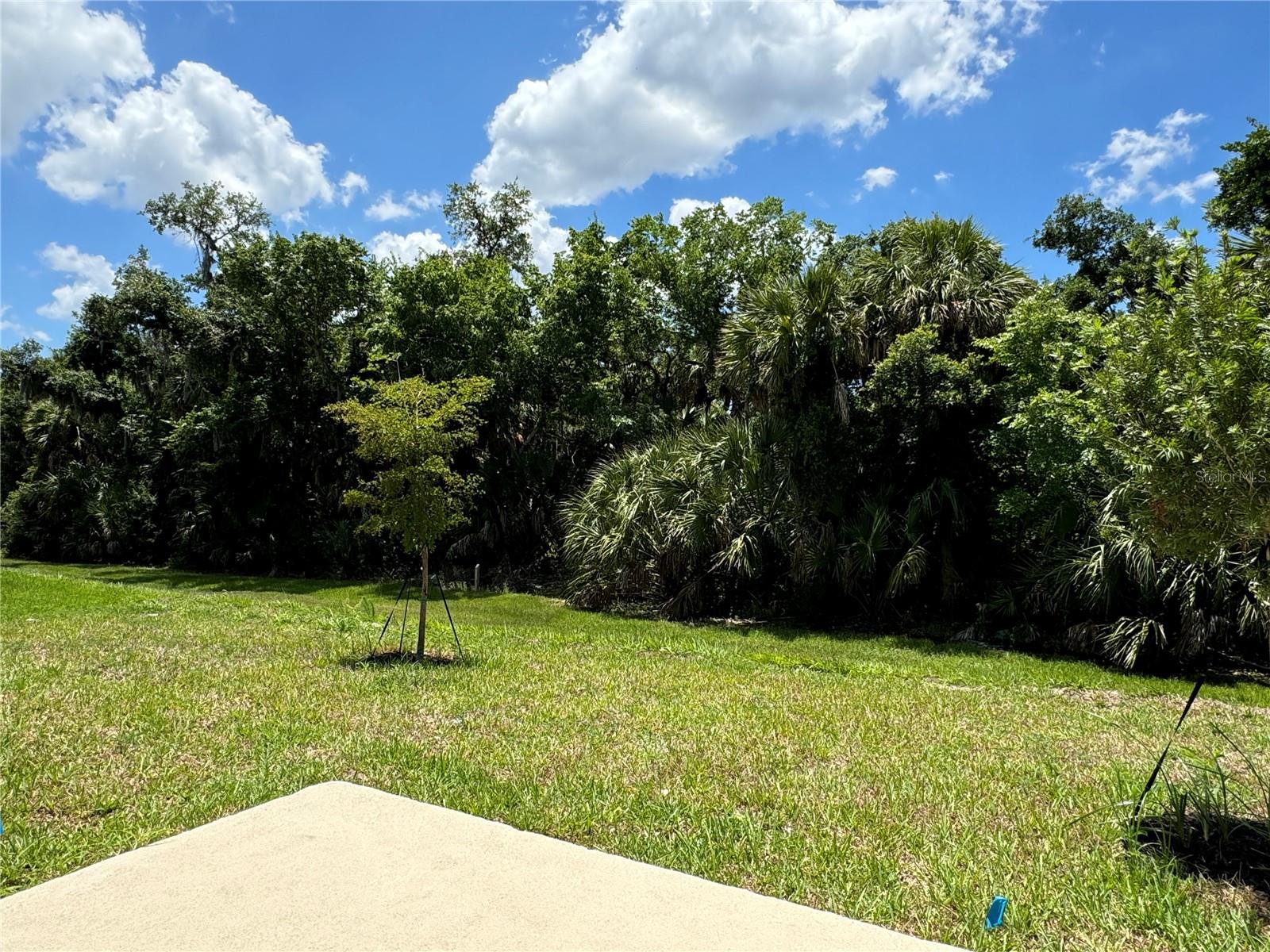 Image 3 of 28 For 8477 Lunar Skye Street