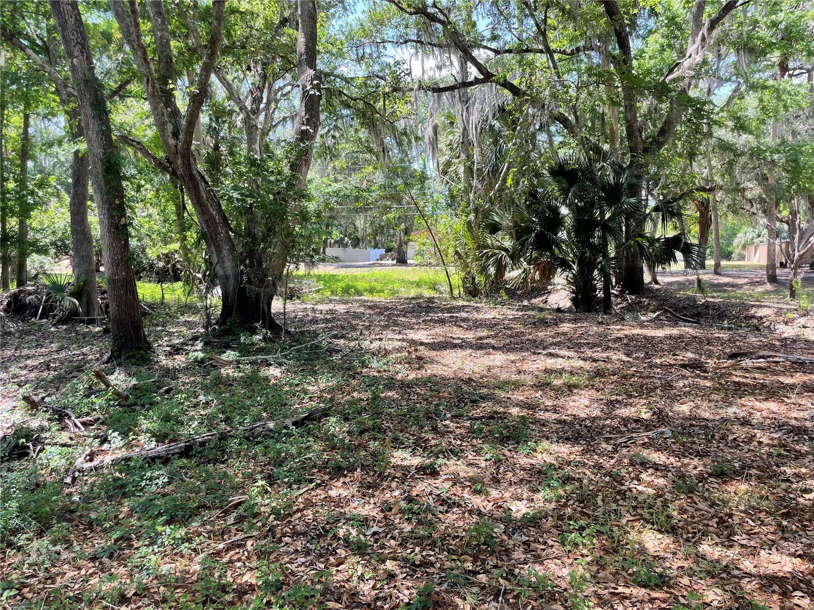 Image 3 of 11 For 1496 Kettledrum Trail