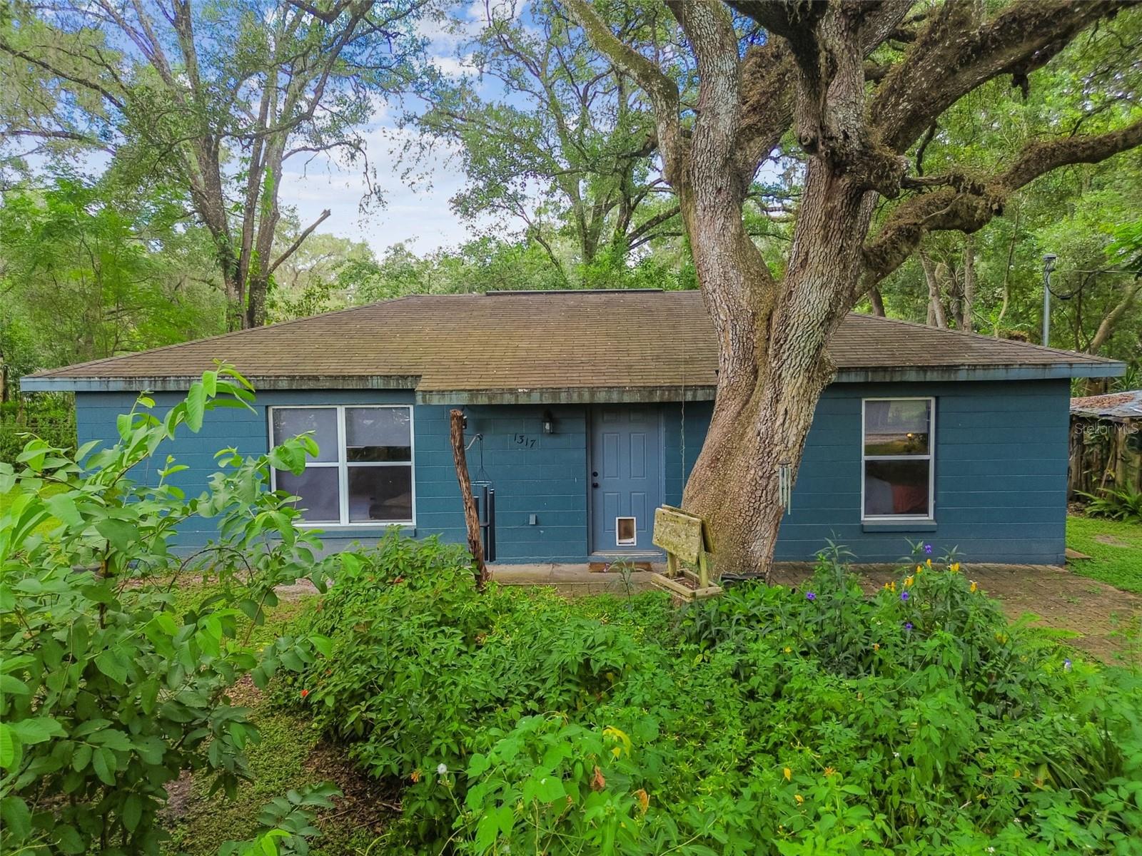 Listing photo id 14 for 1317 Carl Street