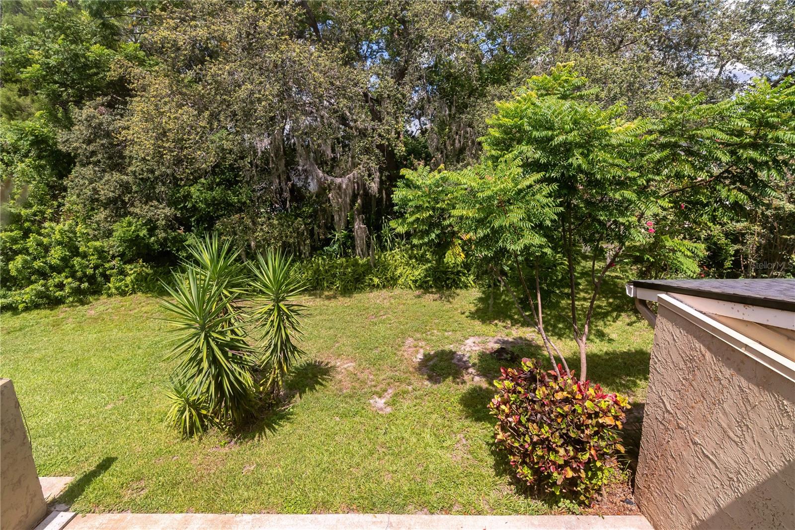 Image 28 of 29 For 8326 Tangelo Tree Drive