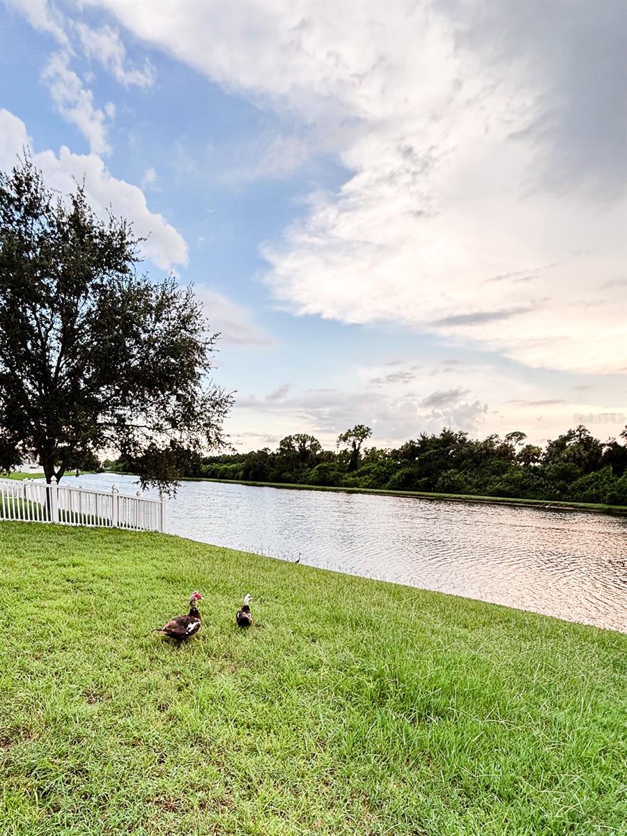 Image 47 of 51 For 12937 Bridleford Drive