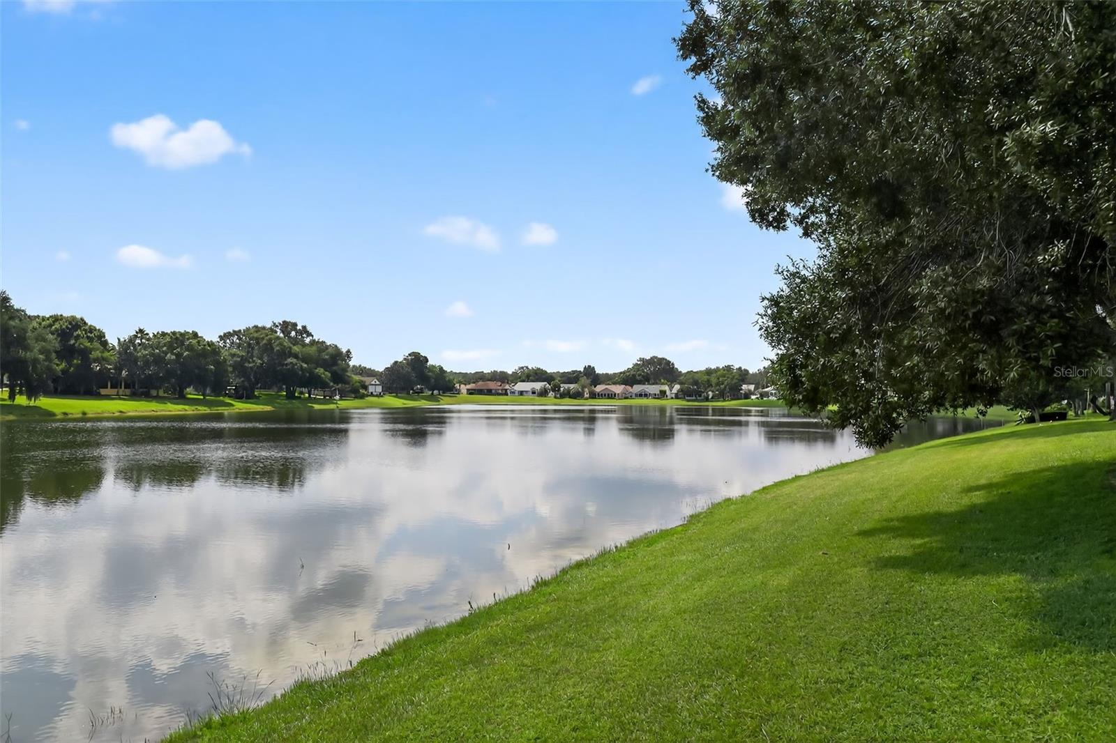 Details for 411 Del Mar Drive, LADY LAKE, FL 32159
