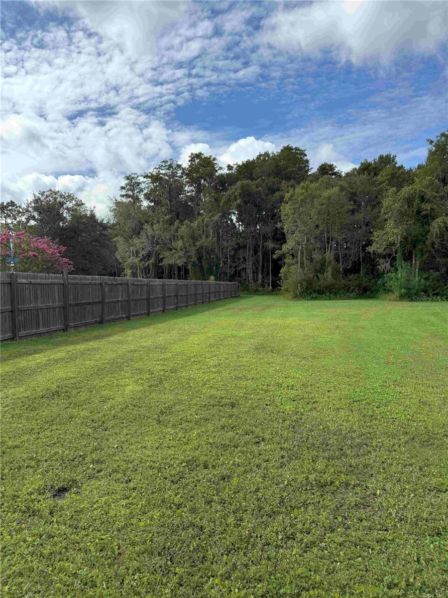 Image 10 of 11 For 1255 Teal Road