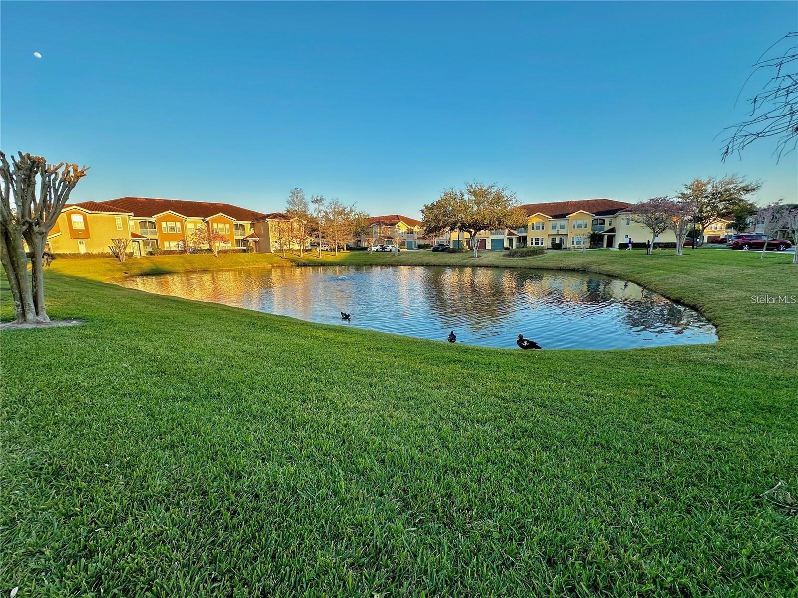 Image 25 of 25 For 12212 Wild Iris Way 104