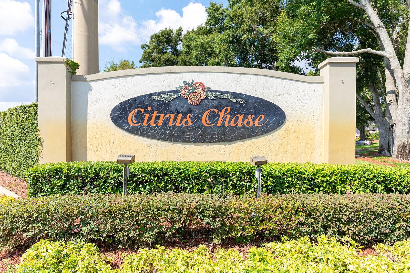 Image 33 of 33 For 8137 Citrus Chase Drive