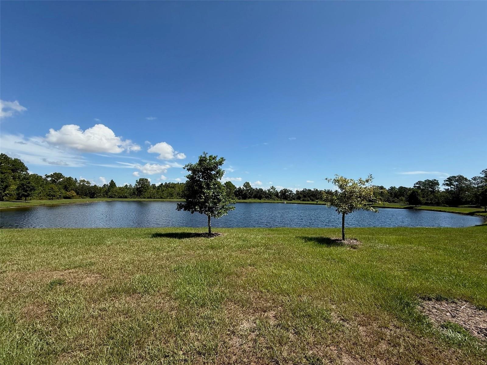 Image 32 of 32 For 3798 Myrtle Oak Court