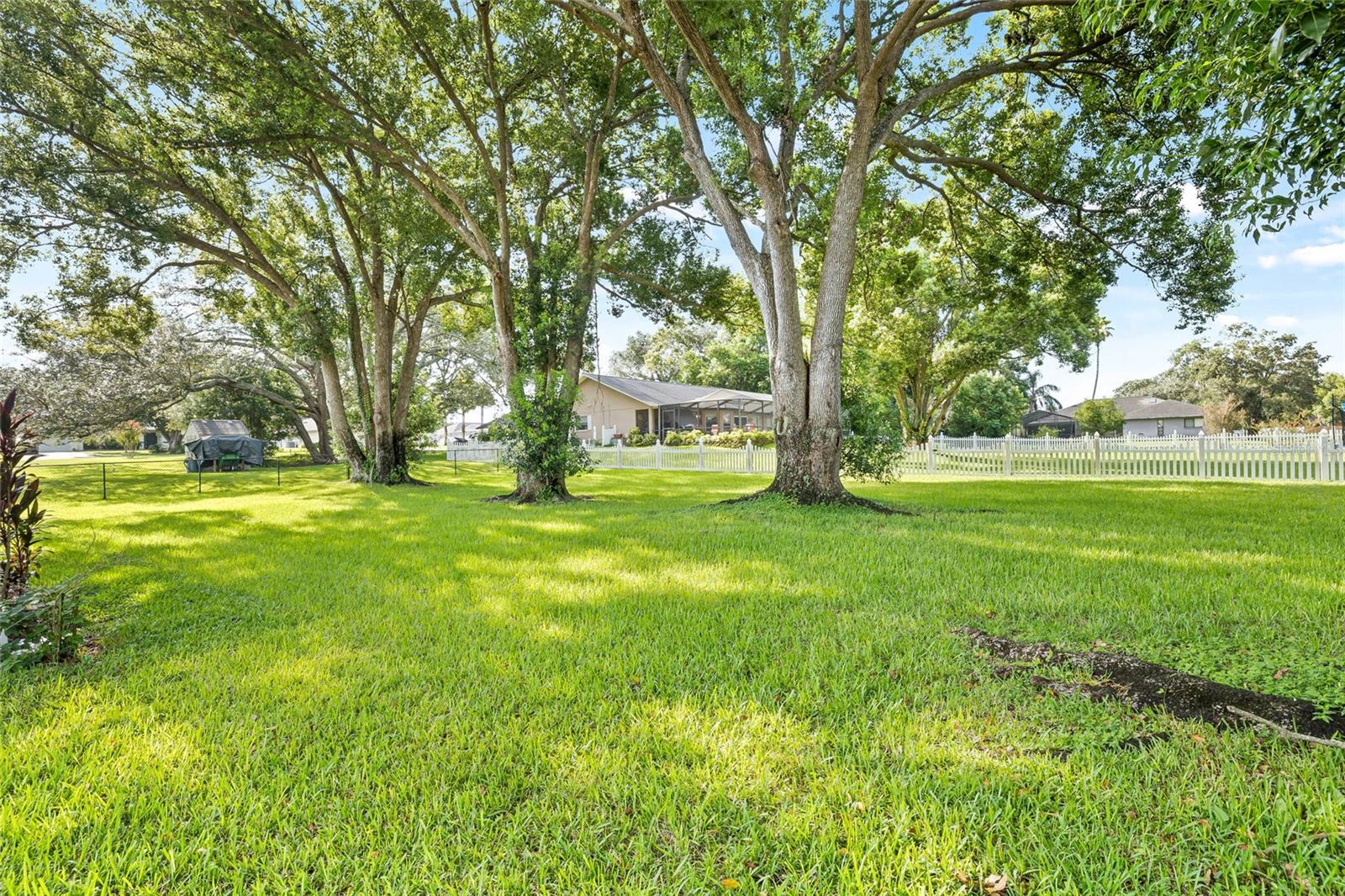 Image 39 of 55 For 10116 Cherryhill Place