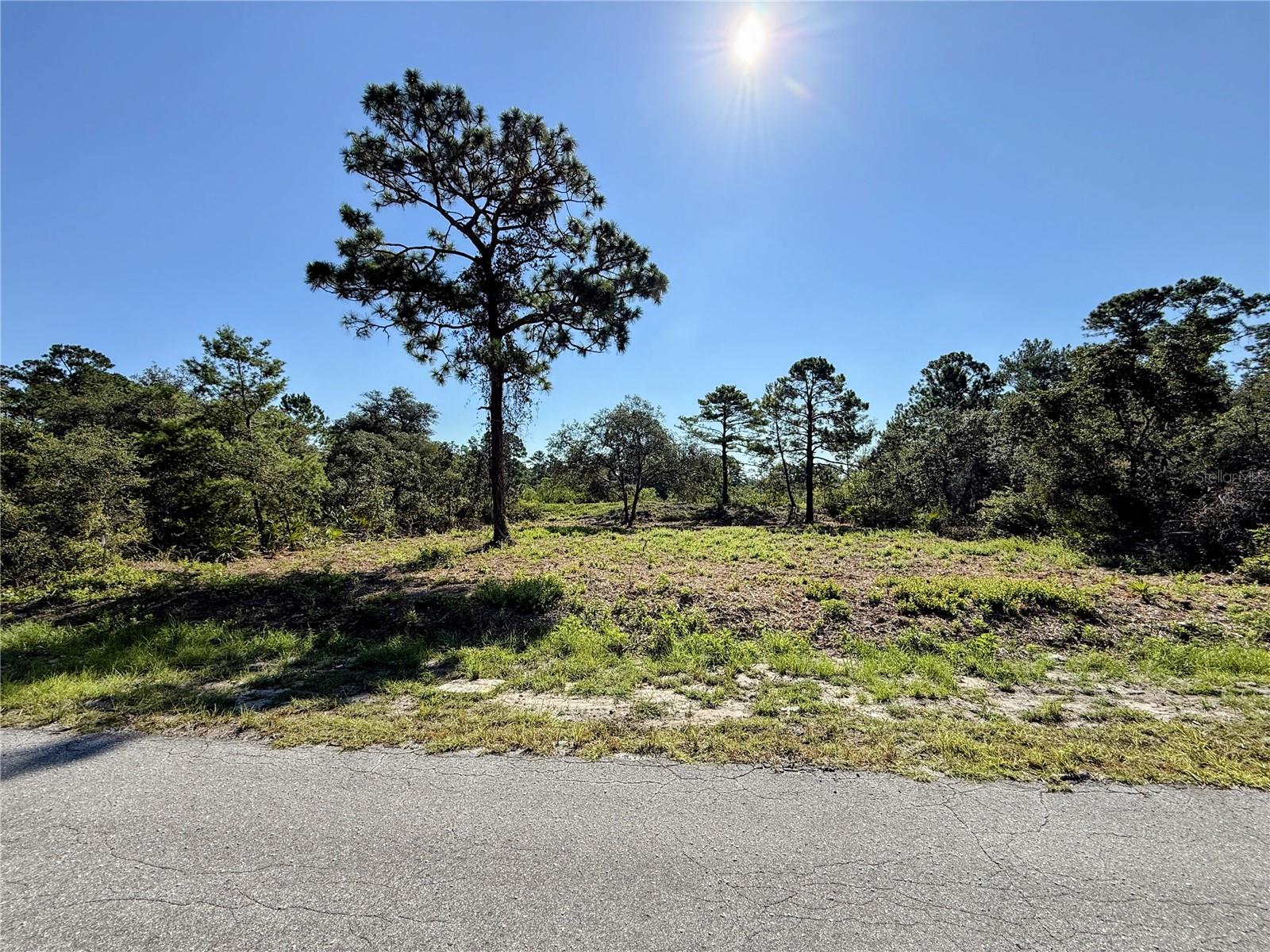 Details for 0 Malauka Pass, OCKLAWAHA, FL 32179