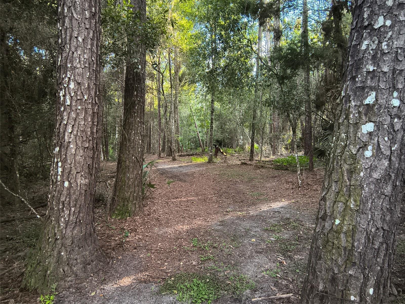 Image 12 of 100 For 24050 Winding Creek Drive