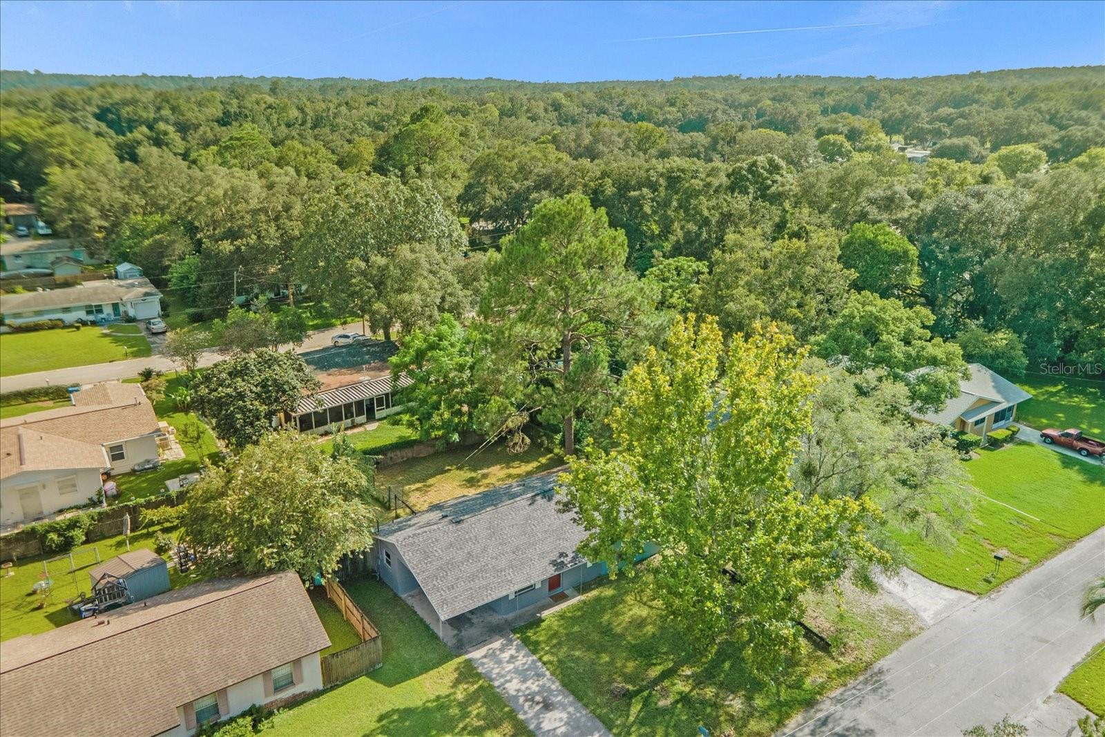 Listing photo id 23 for 21366 Anderson Road